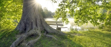 Event-Image for '16. Tag der Parks und Gärten im Dresdner Heidebogen'
