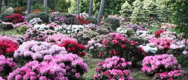 Event-Image for '16. Tag der Parks und Gärten im Dresdner Heidebogen'