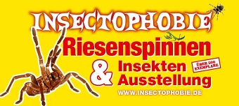 Veranstalter:in von Insectophobie Riesen Spinnen & Insekten Ausstellung