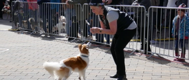 Event-Image for 'Zeigt her Eure Pfoten – Tag des Hundes in der Bahnhofstraße'