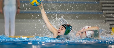 Event-Image for 'Wasserball Bundesliga Frauen SSV Esslingen - Eimsbütteler TV'