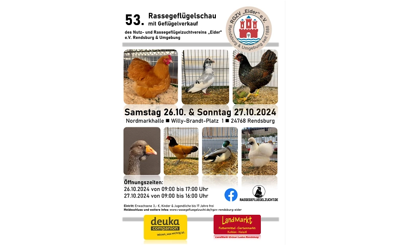 Event-Image for '53. Rassegeflügelschau mit Geflügelverkauf'