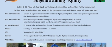 Event-Image for 'Agility Jugendtrainingstag'