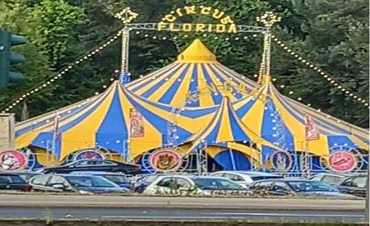 Sponsoring-Logo von Circus Florida Sommertournee, Flingern Event