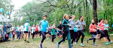 Event-Image for '13. Dresdner Familienlauf'