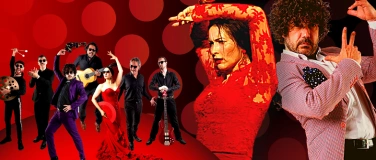 Event-Image for 'FLAMENCO - ROSAS NEGRAS'