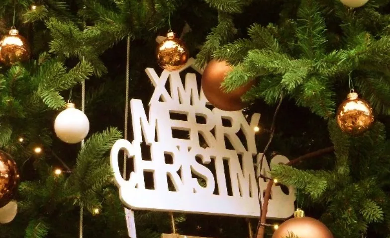 Single Dating auf dem Weihnachtsmarkt Freundschaftskreis Lingen-Meppen-Nordhorn-Rheine, Am Markt, Lingen, Deutschland, 49808 Lingen (Ems) Tickets