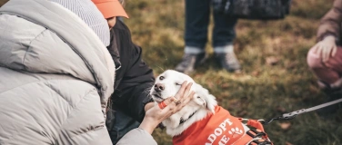 Event-Image for 'Bark Date Hannover'
