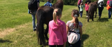 Event-Image for 'Familienwanderung mit Islandponys'