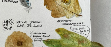 Event-Image for 'Workshop "Nature Journaling"'