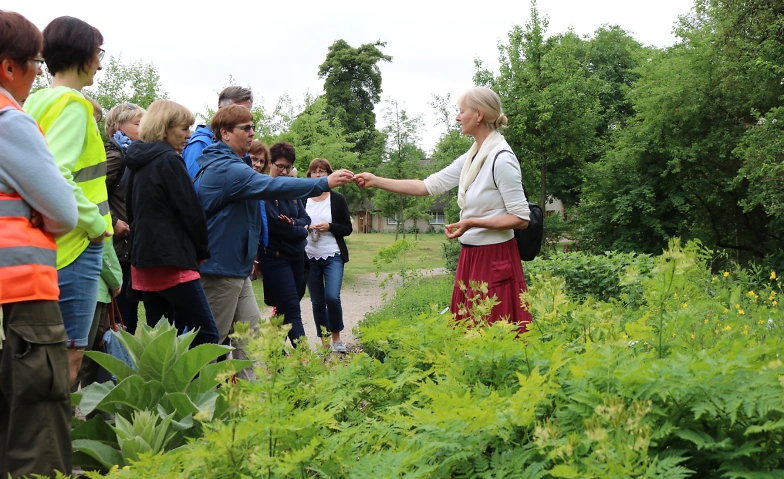 Event-Image for 'Die Wilden am Wegesrand - Kräuterführung'