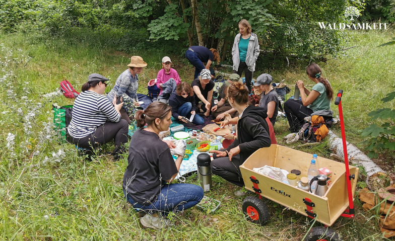 Event-Image for 'Kräuterwanderung mit Picknick'