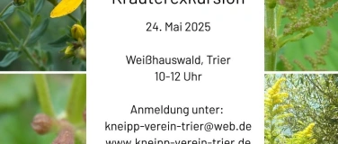 Event-Image for 'Kräuterexkursion im Weißhauswald'