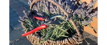 Event-Image for 'Du und Dein Garten im Naturpark: Kräuter-Workshop'