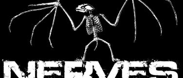 Event-Image for 'The Nerves feat. Lemoto'