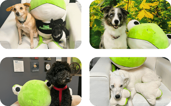 Office Dogs Eventfrog