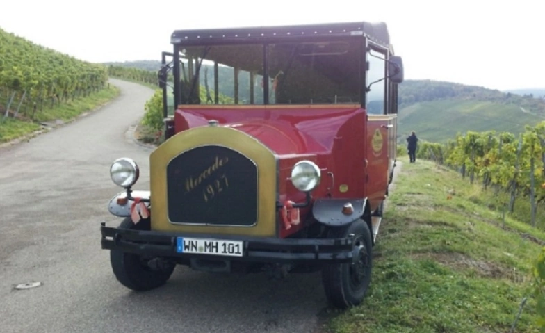 Event-Image for '„Herbstflair im Weinberg“ Rundfahrt mit dem Oldtimer-Bus'