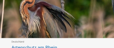Event-Image for 'Artenschutz am Rhein'