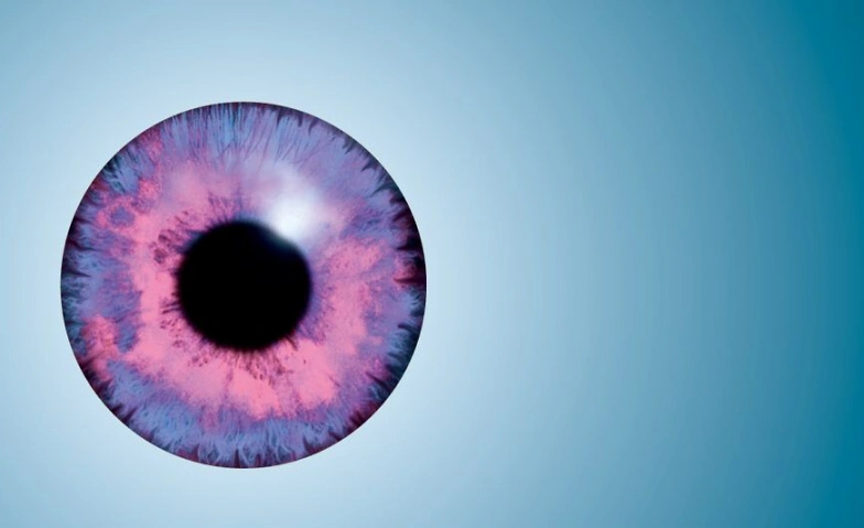 Event-Image for 'visionale 25 »36. Hessisches JugendMedienFestival«'