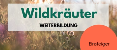 Event-Image for 'Wildkräuter Weiterbildung für Einsteiger*innen'